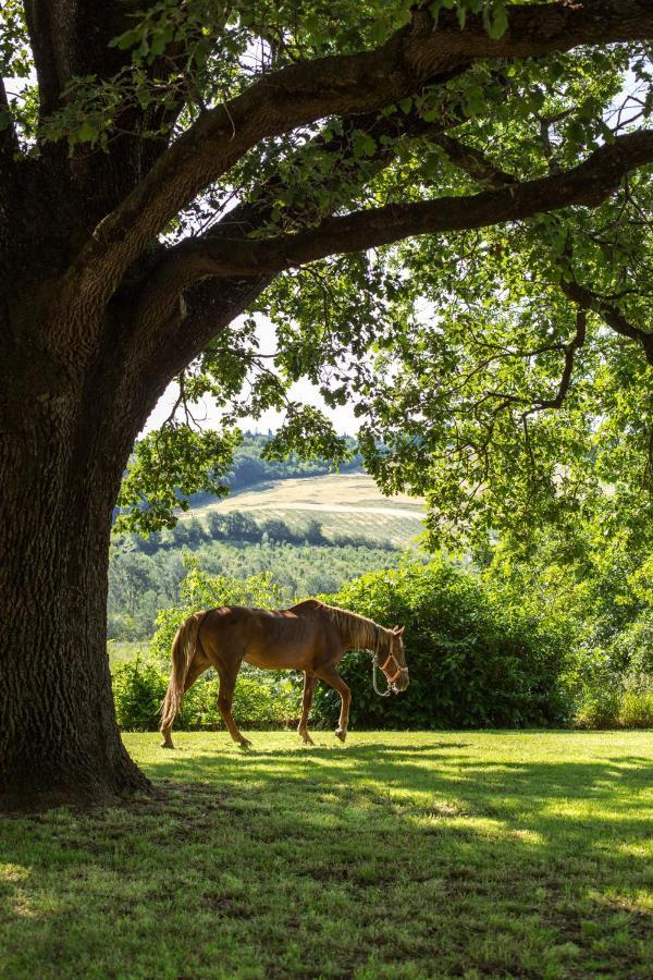 Agriturismo Molino Nuovo Castel San Pietro Terme Εξωτερικό φωτογραφία